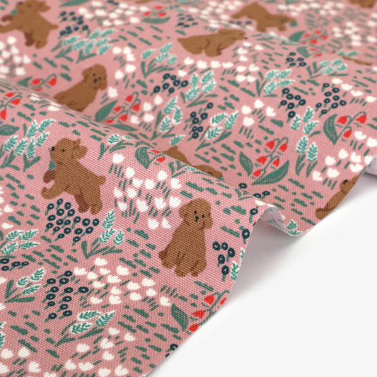 100% Cotton Oxford Pudding 60" Wide